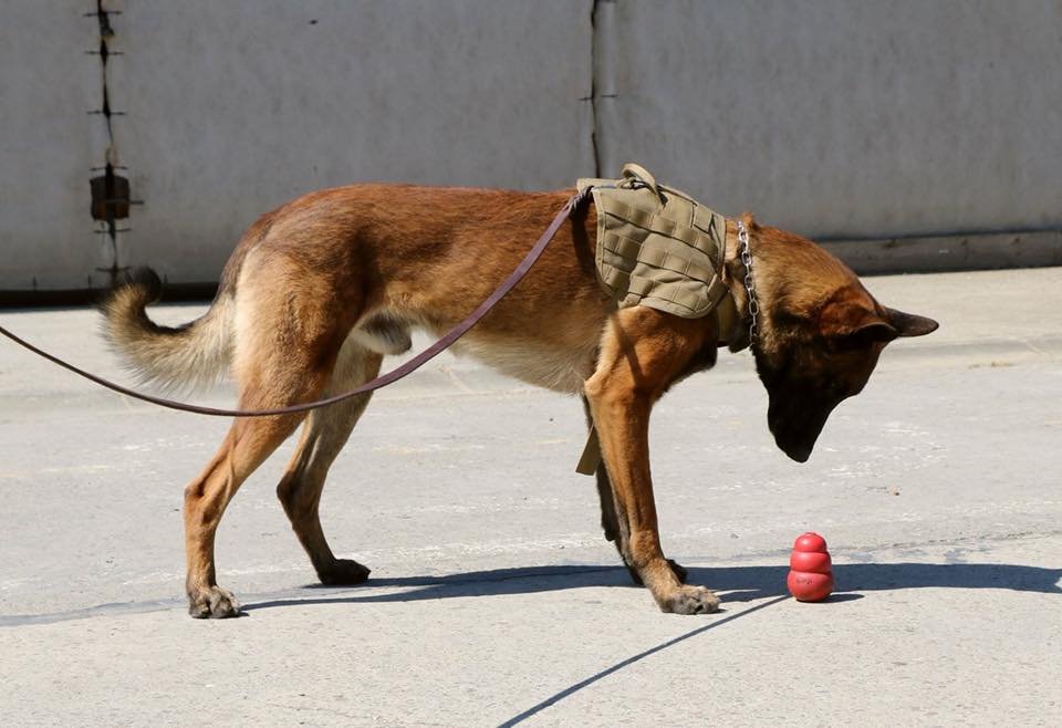 Corso completo di detection