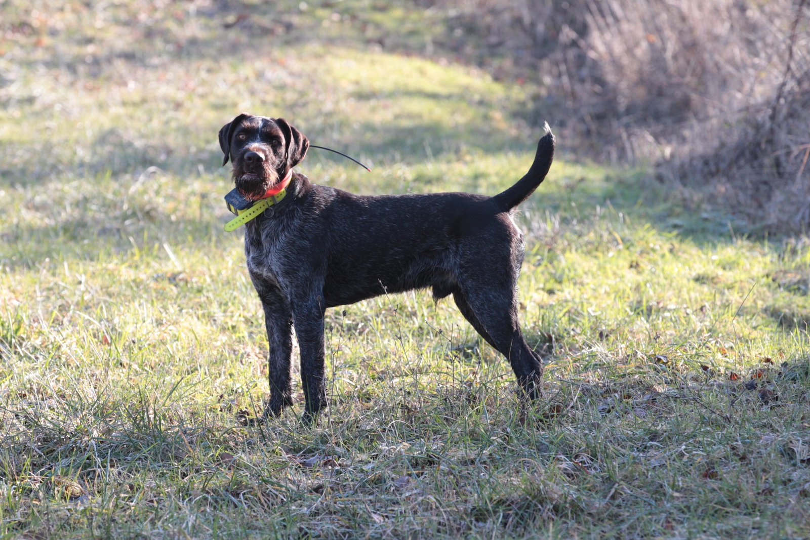 Progression plans: la segnalazione