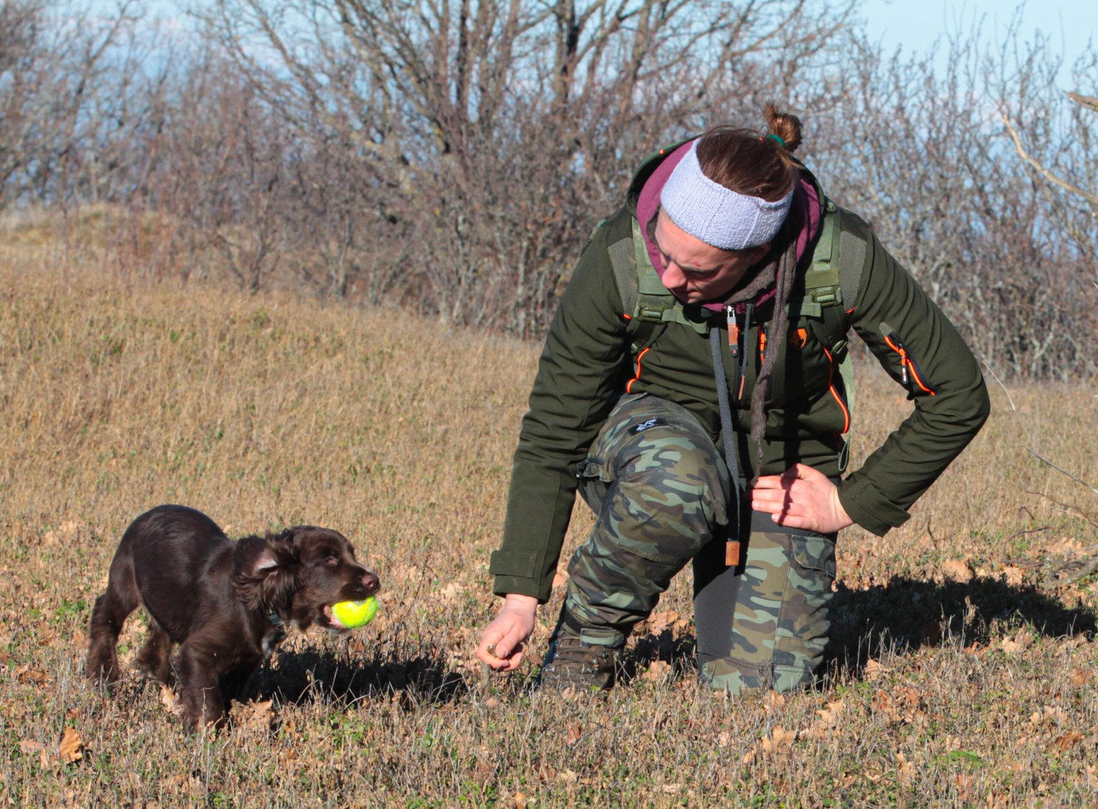 Olfatto del cane: fisiologia del naso